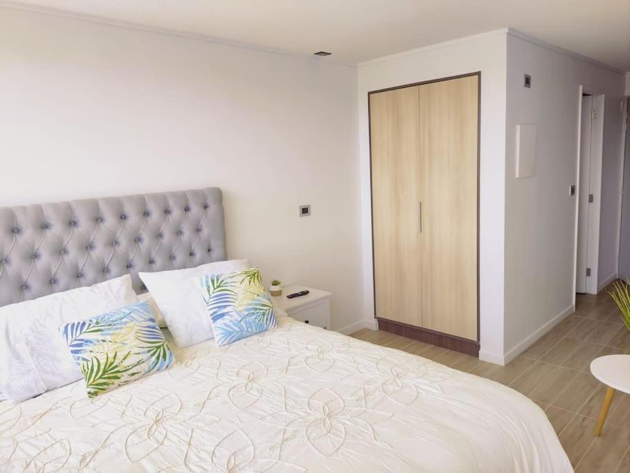 Departamento Estudio511 Islateja บัลดิเบีย ภายนอก รูปภาพ